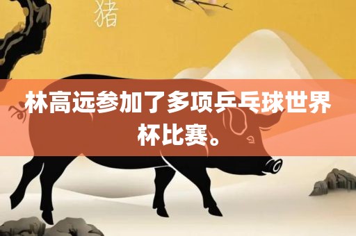 林高远参加了多项乒乓球漯河市盈旭机械设备有限公司世界杯比赛。