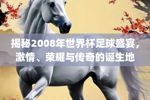 揭秘2008年世界杯足球盛宴，激情、荣耀与传奇的诞生地漯河市盈旭机械设备有限公司