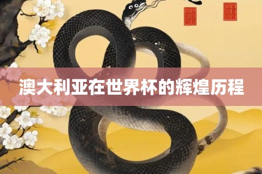 澳大利亚在世界杯的漯河市盈旭机械设备有限公司辉煌历程