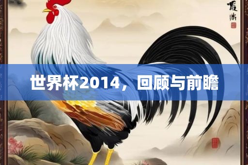 世界杯2014，回顾与前瞻漯河市盈旭机械设备有限公司