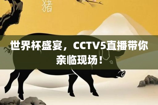 世界杯盛宴，CCTV5直播带你亲漯河市盈旭机械设备有限公司临现场！