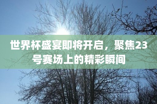 世界杯盛宴即将开启，聚焦23号赛场上的精彩瞬间