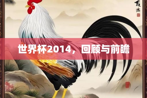 世界杯2014，回顾与前瞻