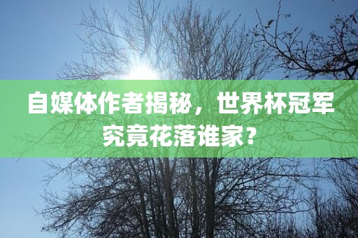 自媒体作者揭秘，世界漯河市盈旭机械设备有限公司杯冠军究竟花落谁家？