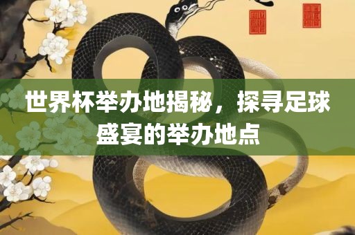 世界杯举办地揭秘，探寻足球盛宴的举办地点