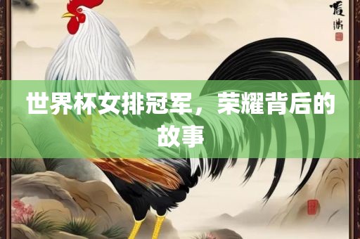 世界杯女排冠军，荣耀背后的故事漯河市盈旭机械设备有限公司