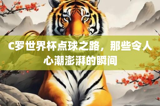 C罗世界杯点球之路，那些令人心潮澎湃的瞬间漯河市盈旭机械设备有限公司