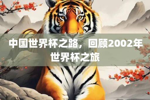 中国世界杯之路，回顾2002年世界杯之旅漯河市盈旭机械设备有限公司