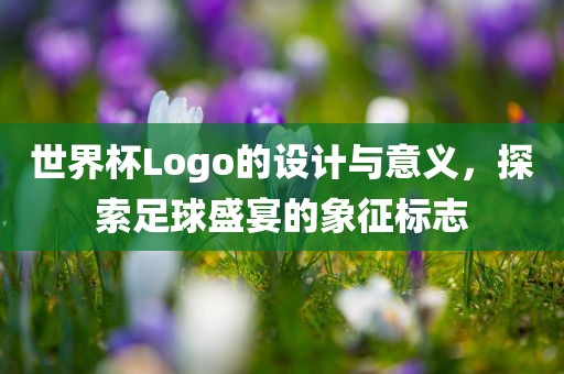 世界杯Lo漯河市盈旭机械设备有限公司go的设计与意义，探索足球盛宴的象征标志