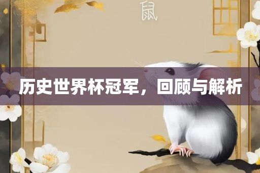 历史世界杯冠漯河市盈旭机械设备有限公司军，回顾与解析