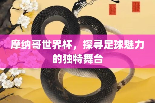 摩纳哥世界杯，探寻足球魅力的独特舞台