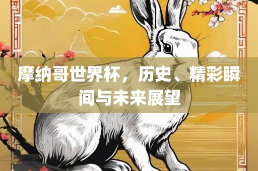 摩纳哥世界杯，历史、精彩瞬间与未来展望漯河市盈旭机械设备有限公司