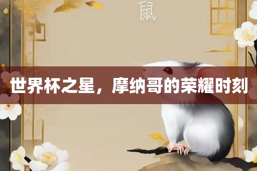 世界杯之星，摩纳哥的荣耀时刻