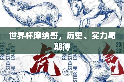 世界杯摩纳哥，历史、实力与期待漯河市盈旭机械设备有限公司