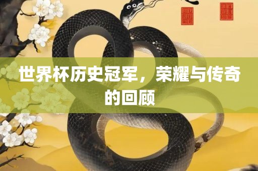 世界杯历史冠军，荣耀与传奇的回顾