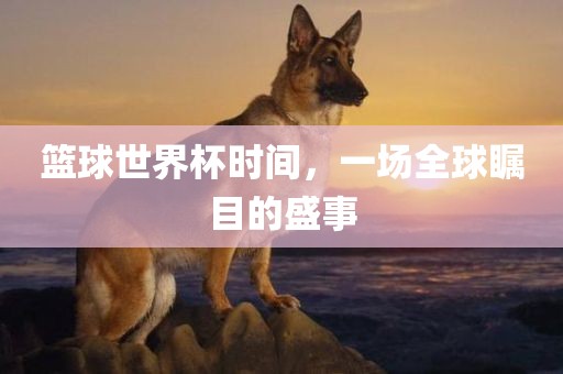 篮球世界杯时间，一场全球瞩目的盛事漯河市盈旭机械设备有限公司
