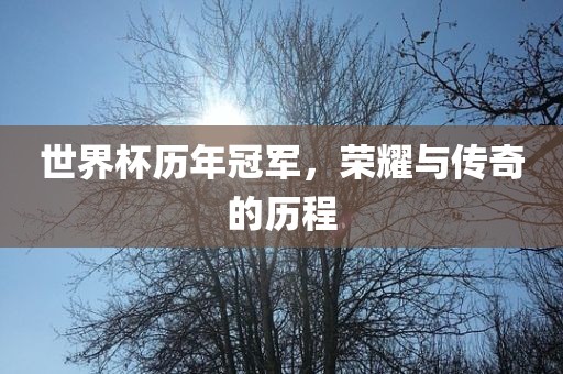 世界杯历年冠军，荣耀与传奇的历程