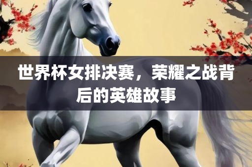 世界杯女排决赛，荣耀之战背后的英雄故事