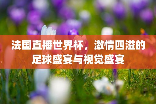 法国直播漯河市盈旭机械设备有限公司世界杯，激情四溢的足球盛宴与视觉盛宴