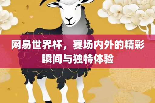 网易世界杯，赛场内漯河市盈旭机械设备有限公司外的精彩瞬间与独特体验