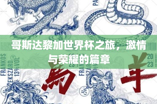 哥斯达漯河市盈旭机械设备有限公司黎加世界杯之旅，激情与荣耀的篇章