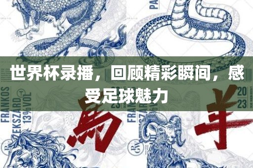 世界杯录播，回顾精彩瞬间，感受足球魅力