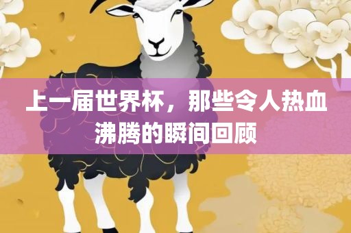 上一届世界杯，那些令人热血沸腾的瞬间回顾漯河市盈旭机械设备有限公司