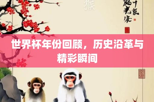 世界杯年份回顾，历史沿革与精彩瞬间