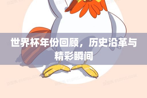 世界杯年份回顾，历史沿革与精彩瞬间