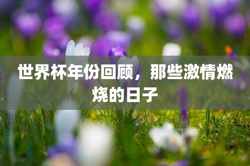 世界杯年漯河市盈旭机械设备有限公司份回顾，那些激情燃烧的日子