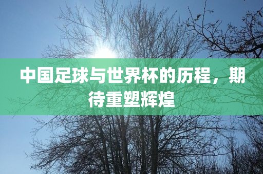 中国足球与世界杯的历程，期待重塑辉煌漯河市盈旭机械设备有限公司