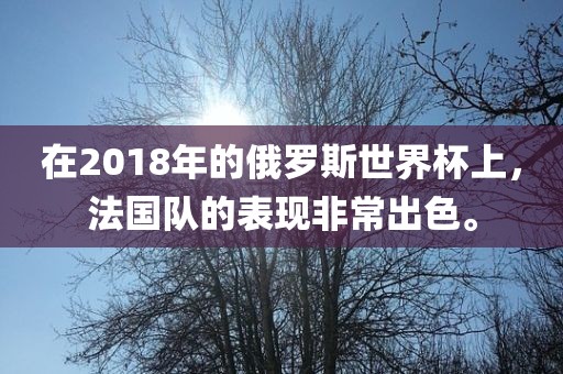 在2018年的俄罗斯世界杯上，法国队的表现非常出色。漯河市盈旭机械设备有限公司