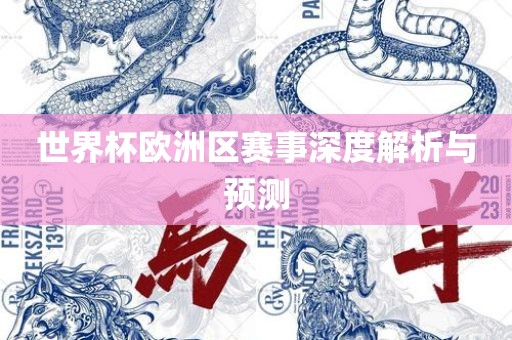 世界杯欧洲区赛事深度解析与预测