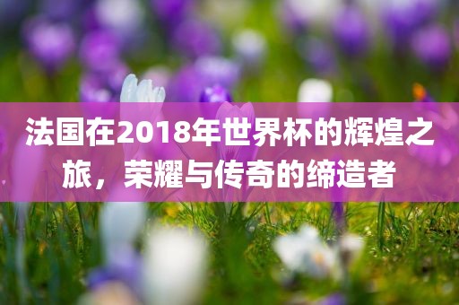 法国在2018年世界杯的辉煌之旅，荣耀与传奇的缔造者漯河市盈旭机械设备有限公司