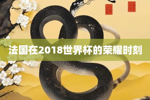 法国在2018世界杯的荣耀时刻