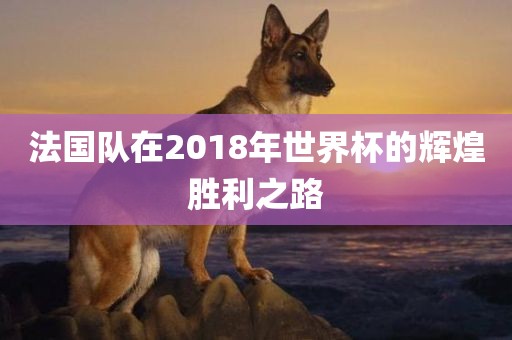 法国队在2018年世界杯的辉煌胜利之路