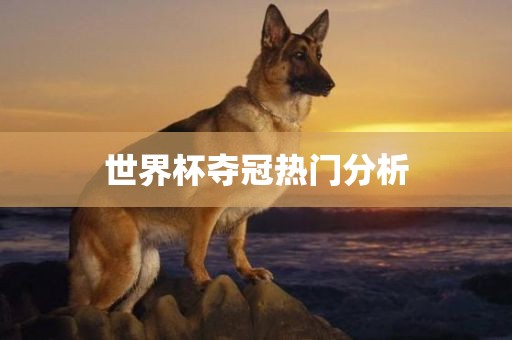 世界杯夺冠热门分析