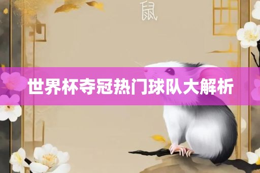 世界杯夺冠热门球队大解析