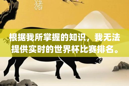 根据我所掌握的知识，我无法提供实时的世界杯比赛排名。
