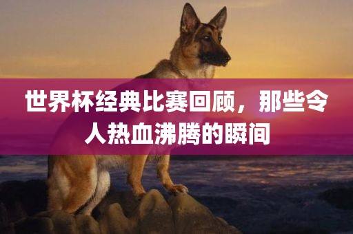 世界杯经典比赛回顾，那些令人热血沸腾的瞬间漯河市盈旭机械设备有限公司