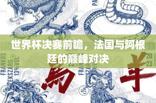 世界杯决赛前瞻，法国与阿根廷的巅峰对决漯河市盈旭机械设备有限公司