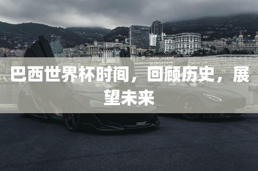 历史与未来展望 第4页