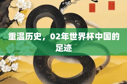 重温历史，02年世界杯漯河市盈旭机械设备有限公司中国的足迹