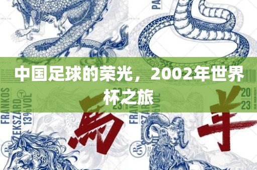 中国足球的荣光，2漯河市盈旭机械设备有限公司002年世界杯之旅