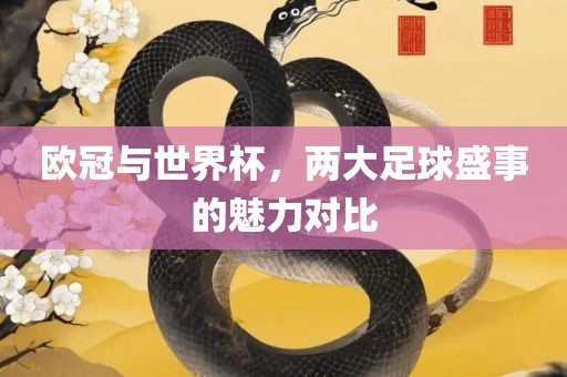 欧冠与世界杯，两大足球盛事的魅力对比漯河市盈旭机械设备有限公司