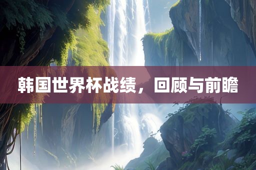 韩国世界杯战绩，回顾与前瞻