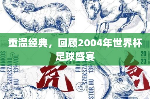 重温经典，回顾2004年世界杯足球盛宴漯河市盈旭机械设备有限公司