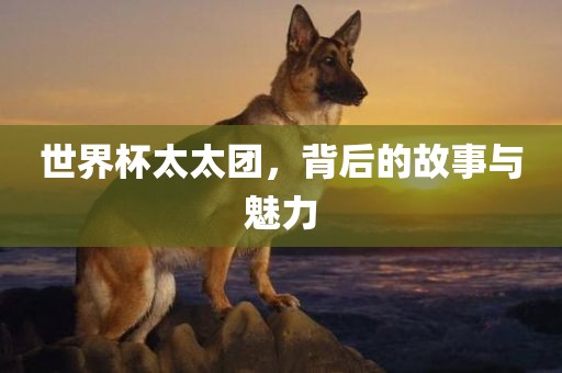 世界杯太太团，背后的故事与魅力漯河市盈旭机械设备有限公司
