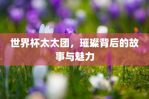世界杯太太团，璀璨背后的故事与魅力