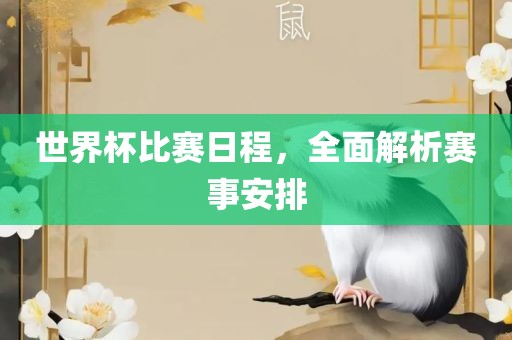 世界杯比赛日程，全面解析赛事安排